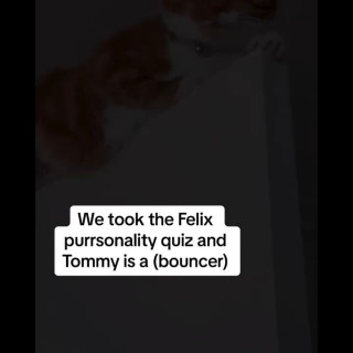 Instagram post by the_ginger_tom