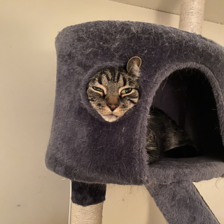 Uploaded post by Glynis 