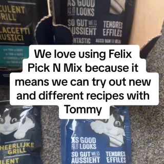 Instagram post by the_ginger_tom